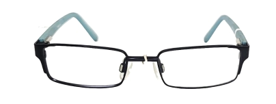 SHREK 209 BLUE
