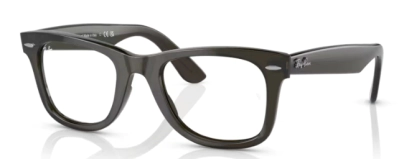 RB 4340-V 8224 WAYFARER