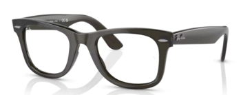 RB 4340-V 8224 WAYFARER
