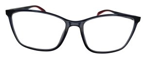 REDP 101 C2