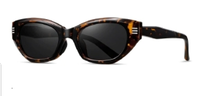SKYLASH C02