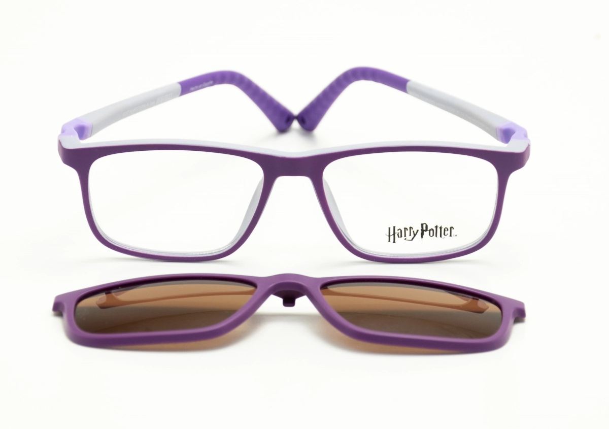 HP WINGARDIUM VIO C2