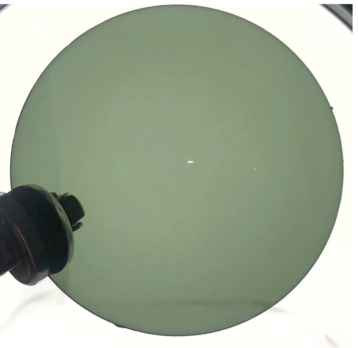 COQUIL ORGANICO BASE 8 G-15 PLENO